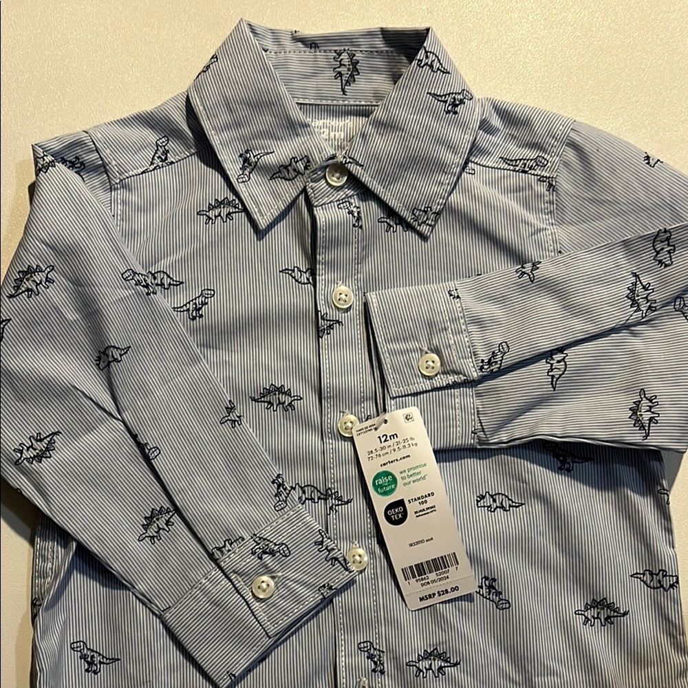Boys' Blue Striped Shirt with Dinosaur Print